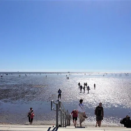 Moewennest * Büsum