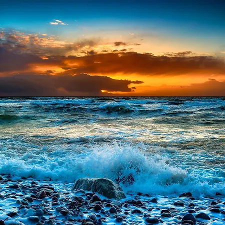 Moewennest * Büsum
